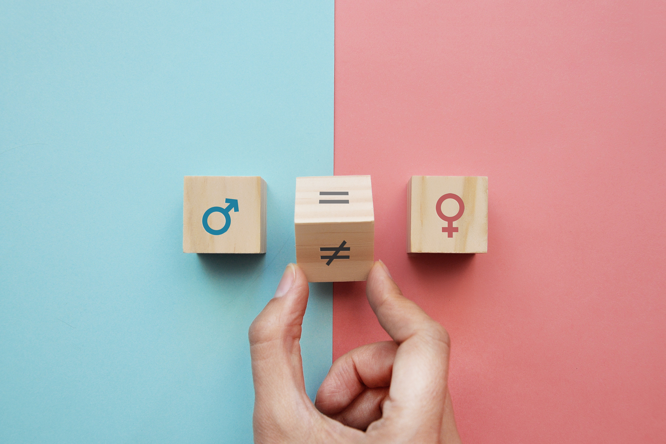 Programa Igualdad y Diversidad